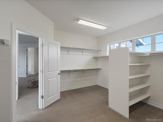 22263 Boundstone St, Parker, CO 80138 - photo 35