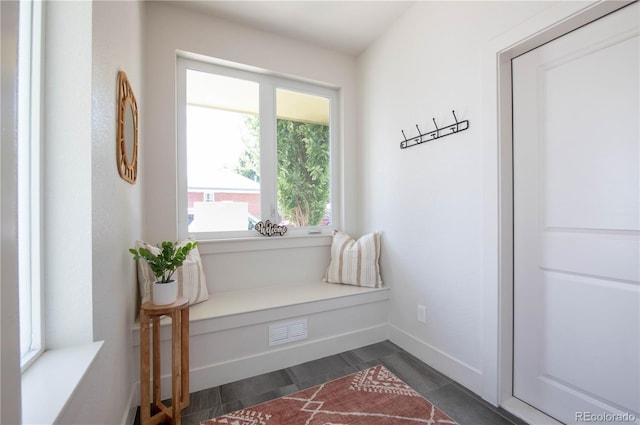 mudroom with baseboards and visible vents