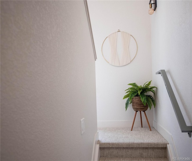 interior space with carpet