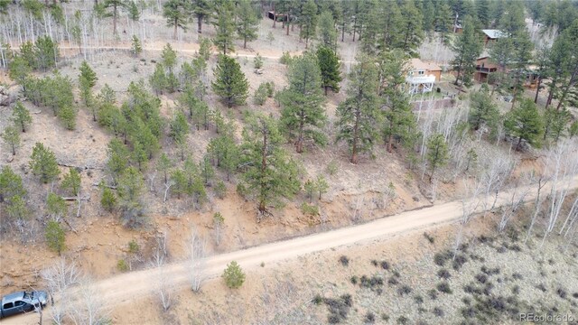 312 Marian St, Bailey, CO 80421 - photo 12