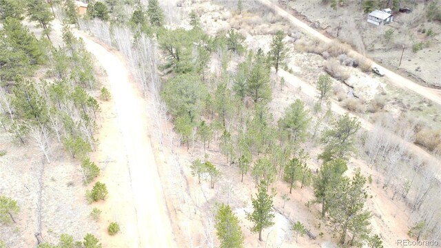 312 Marian St, Bailey, CO 80421 - photo 28