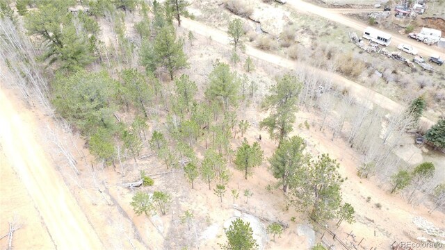312 Marian St, Bailey, CO 80421 - photo 29