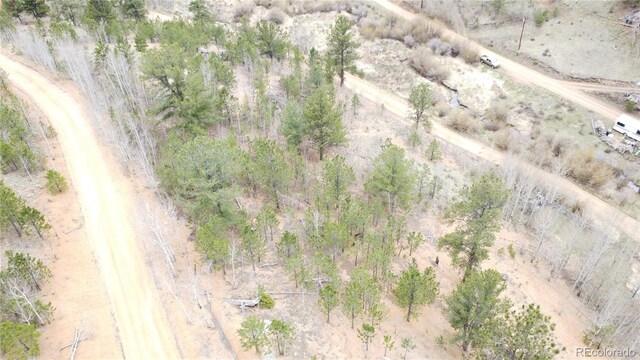 312 Marian St, Bailey, CO 80421 - photo 31