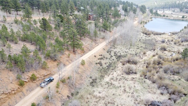 312 Marian St, Bailey, CO 80421 - photo 3