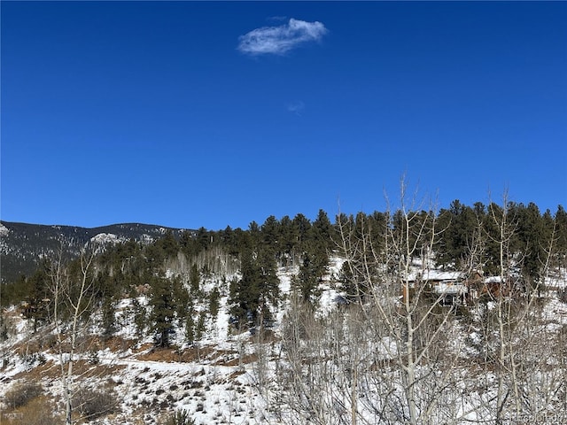 312 Marian St, Bailey, CO 80421 - photo 10