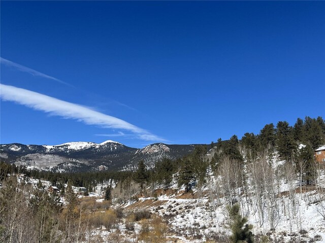 312 Marian St, Bailey, CO 80421 - photo 15