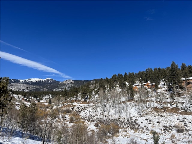 312 Marian St, Bailey, CO 80421 - photo 16