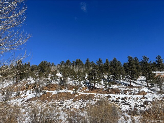 312 Marian St, Bailey, CO 80421 - photo 18