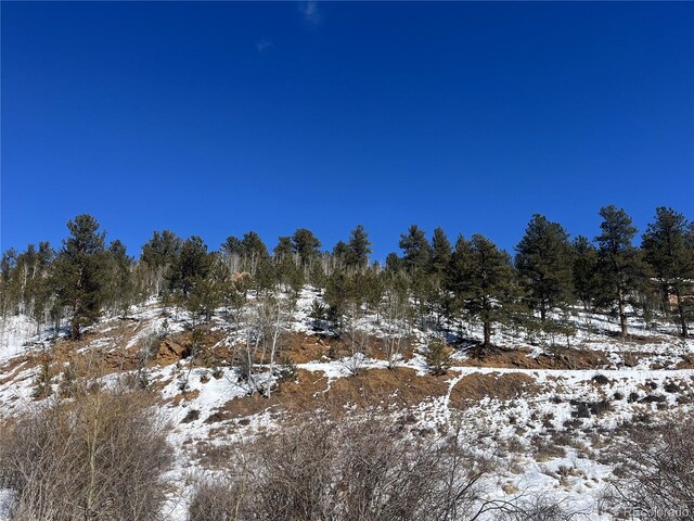 312 Marian St, Bailey, CO 80421 - photo 19