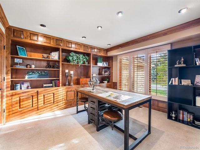 62 N Ranch Rd, Littleton, CO 80127 - office with light colored carpet, crown molding, and recessed lighting