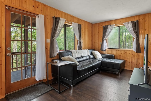 465 Mount Guyot Cir, Jefferson, CO 80456 - photo 5