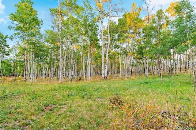 465 Mount Guyot Cir, Jefferson, CO 80456 - photo 27