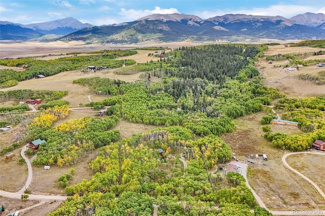 465 Mount Guyot Cir, Jefferson, CO 80456 - photo 31