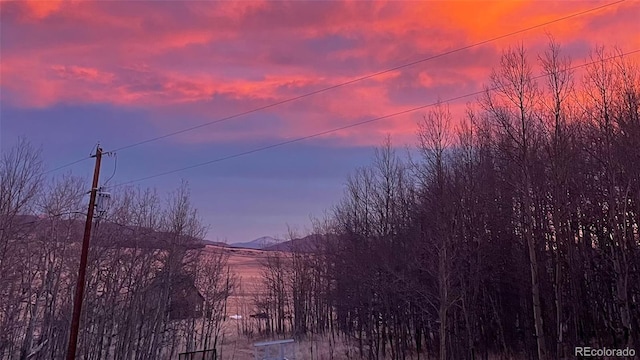 465 Mount Guyot Cir, Jefferson, CO 80456 - photo 40