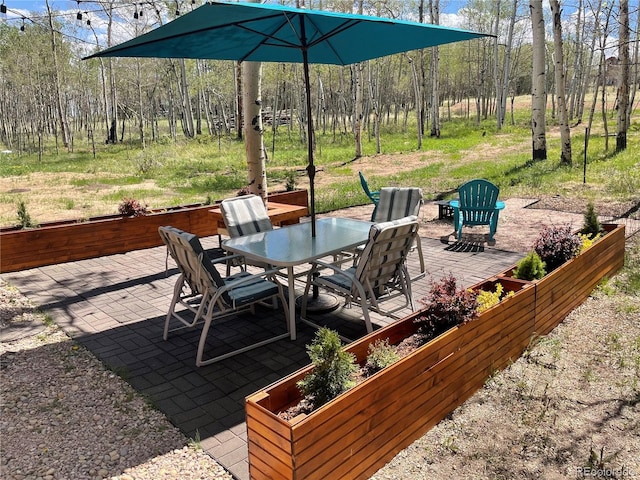 465 Mount Guyot Cir, Jefferson, CO 80456 - photo 41