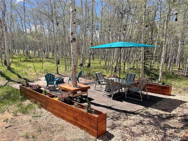 465 Mount Guyot Cir, Jefferson, CO 80456 - photo 42