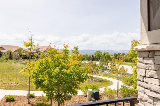 997 Brocade Dr, Highlands Ranch, CO 80126 - photo 4