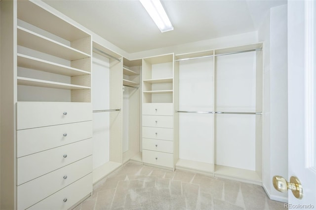 19076 E Lasalle Pl, Aurora, CO 80013 - walk in closet featuring light colored carpet