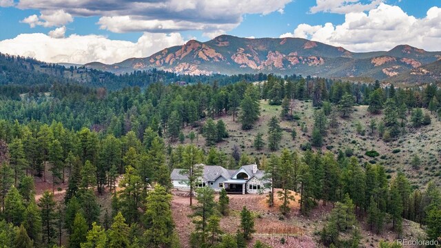 31455 Half Peak Trl, Pine, CO 80470 - view of mountain background with a heavily wooded area