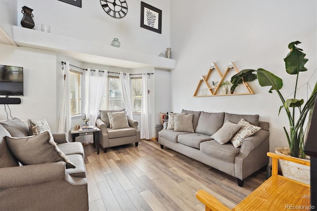 living room with wood finished floors and a towering ceiling