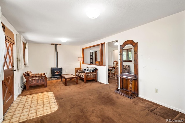 33411 Lake Ln, Pine, CO 80470 - photo 21