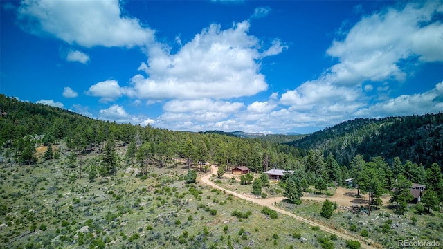 33411 Lake Ln, Pine, CO 80470 - photo 22