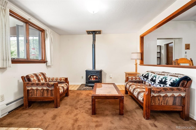 33411 Lake Ln, Pine, CO 80470 - photo 23