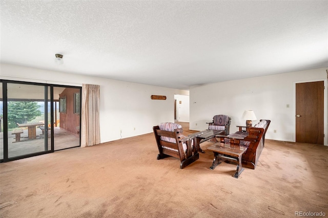 33411 Lake Ln, Pine, CO 80470 - photo 28