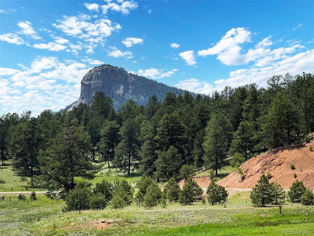 33411 Lake Ln, Pine, CO 80470 - photo 42