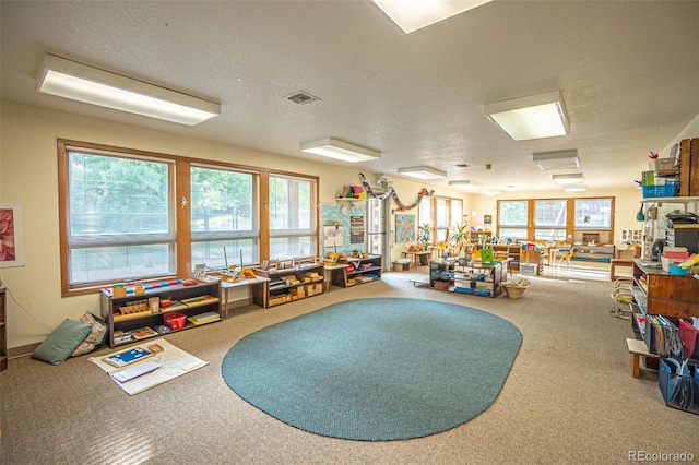 miscellaneous room featuring a healthy amount of sunlight, carpet, and a textured ceiling