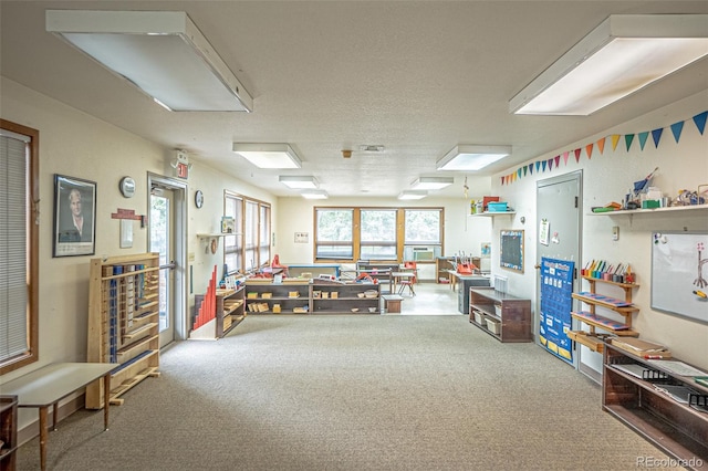 miscellaneous room featuring carpet, a healthy amount of sunlight, and a textured ceiling