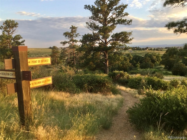 21658 E Tallkid Ave, Parker, CO 80138 - exterior view