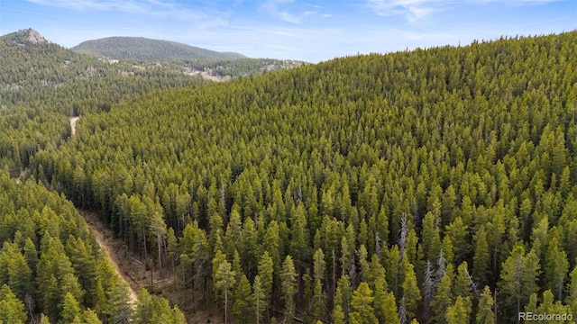Moon Gulch, Rollinsville, CO 80422 - photo 4