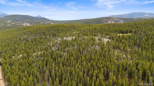 Moon Gulch, Rollinsville, CO 80422 - photo 7