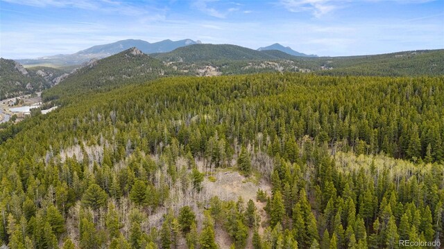 Moon Gulch, Rollinsville, CO 80422 - photo 8