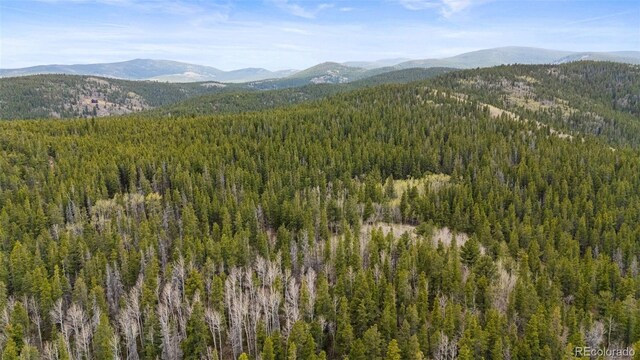 Moon Gulch, Rollinsville, CO 80422 - photo 9