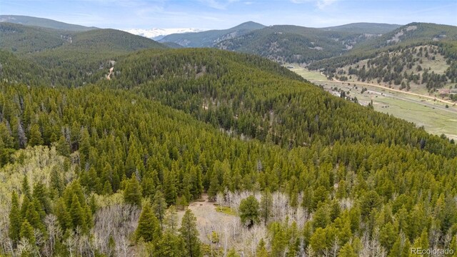 Moon Gulch, Rollinsville, CO 80422 - photo 10