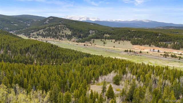 Moon Gulch, Rollinsville, CO 80422 - photo 11