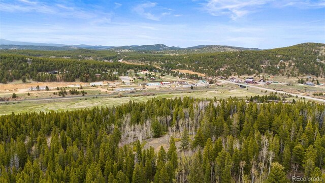 Moon Gulch, Rollinsville, CO 80422 - photo 12