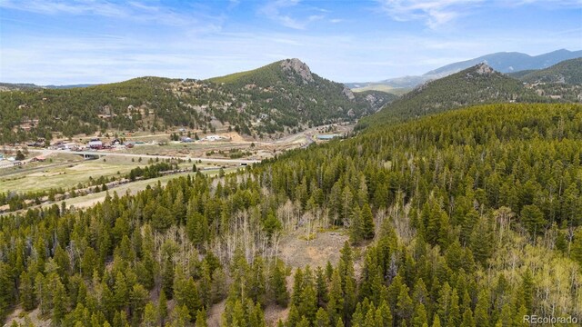 Moon Gulch, Rollinsville, CO 80422 - photo 13