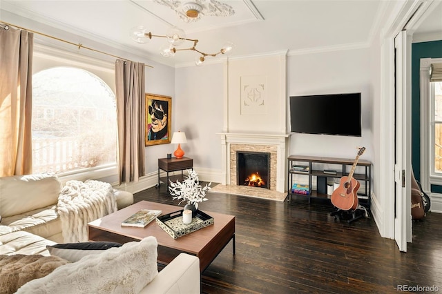 living room with hardwood / wood-style flooring, a warm lit fireplace, and crown molding