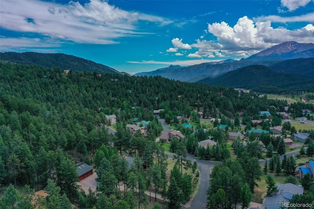 1000 Ponderosa Way, Woodland Park, CO 80863 - view of mountain background featuring a forest