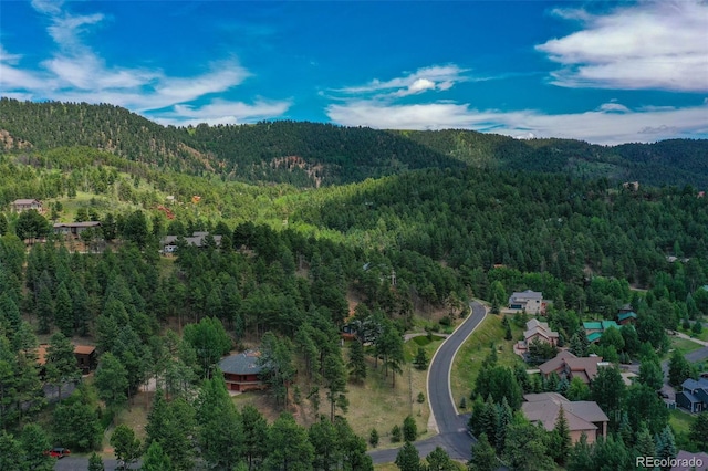 1000 Ponderosa Way, Woodland Park, CO 80863 - aerial view of property's location with a forest and mountains