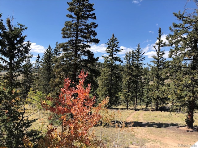 246 Chippewa Rd, Jefferson, CO 80456