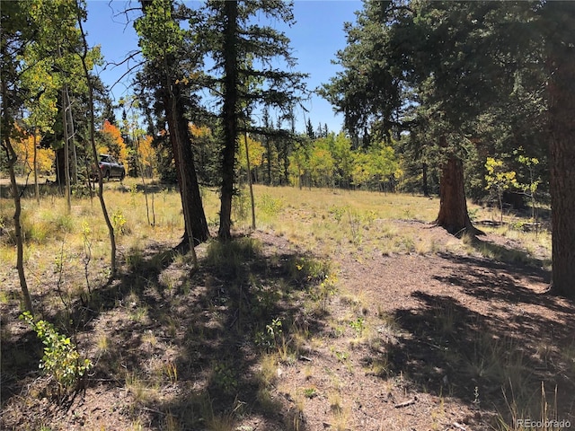 246 Chippewa Rd, Jefferson, CO 80456