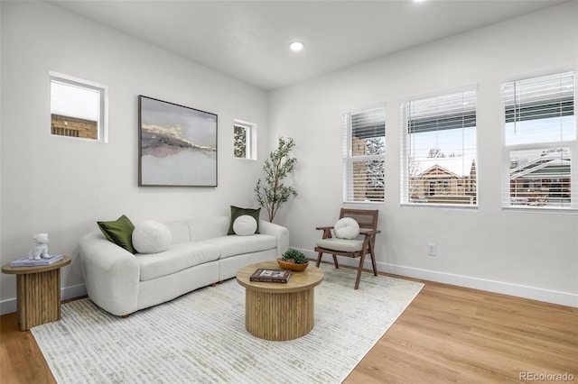 living room with hardwood / wood-style flooring