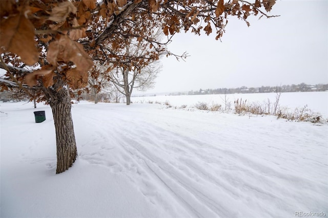 view of snowy yard