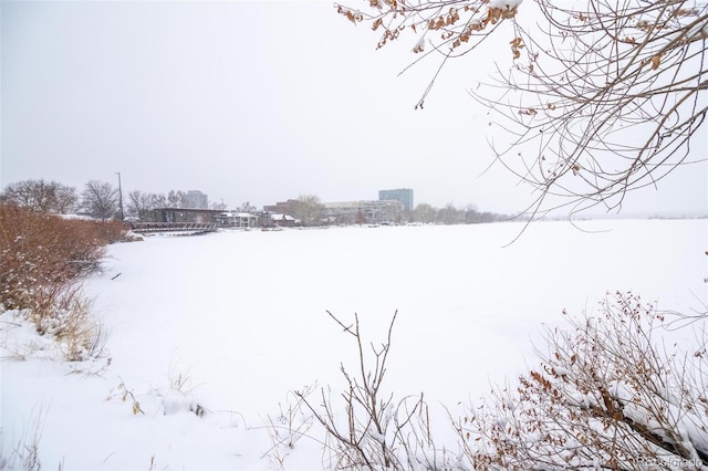 view of yard layered in snow