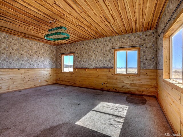 unfurnished room featuring carpet, a wainscoted wall, wooden walls, and wooden ceiling