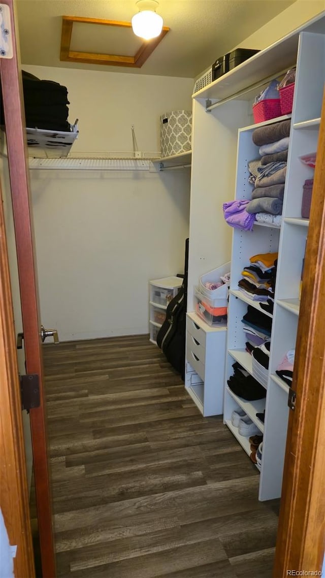 1001 43rd Ave Unit 51, Greeley, CO 80634 - photo 12